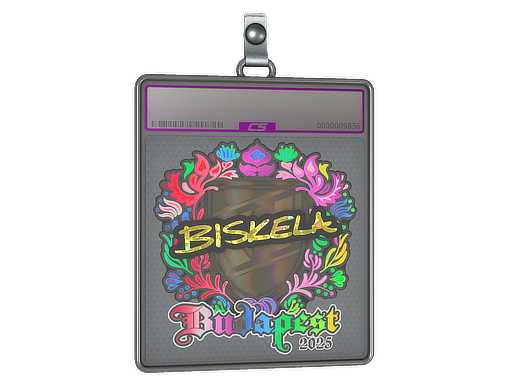 Item Sticker Slab | Aleksib (Holo) | Budapest 2025
