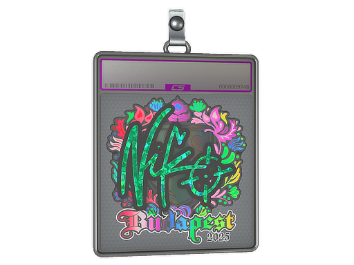 Item Sticker Slab | NiKo (Holo) | Budapest 2025