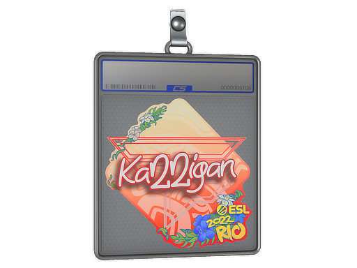 Item Sticker Slab | karrigan | Rio 2022