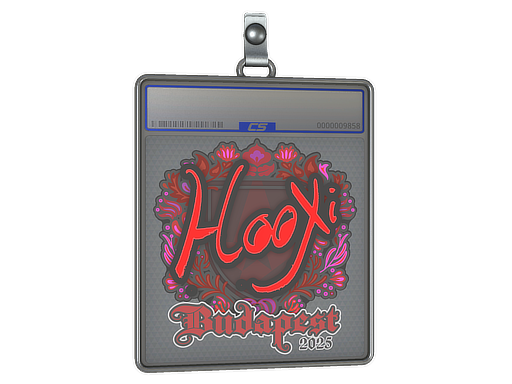 Item Sticker Slab | HooXi | Budapest 2025
