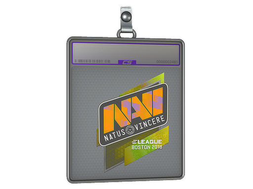 Item Sticker Slab | Natus Vincere (Holo) | Boston 2018