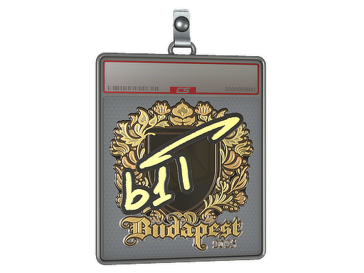 Item Sticker Slab | b1t (Gold) | Budapest 2025