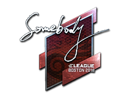 Item Sticker | somebody (Foil) | Boston 2018