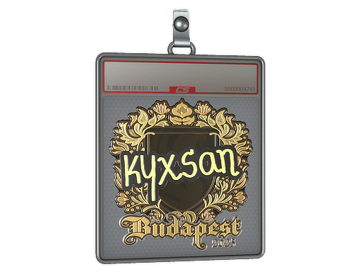 Item Sticker Slab | kyxsan (Gold) | Budapest 2025
