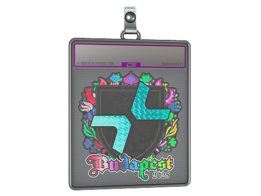 Item Sticker Slab | PARIVISION (Holo) | Budapest 2025