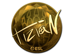 Item Sticker | tiziaN (Gold) | Katowice 2019