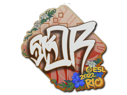 Item Sticker | sk0R | Rio 2022
