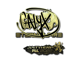 Item Sticker | Calyx (Gold) | Antwerp 2022