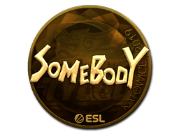 Item Sticker | somebody (Gold) | Katowice 2019