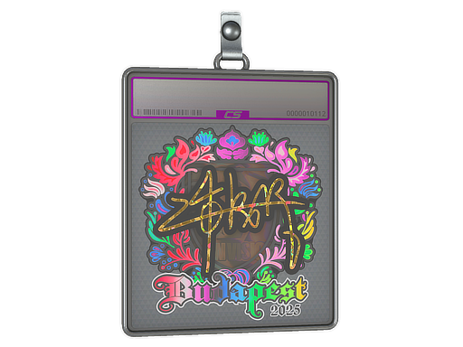 Item Sticker Slab | z4KR (Holo) | Budapest 2025