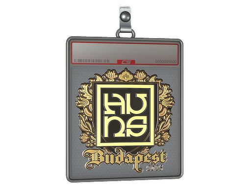 Item Sticker Slab | The Huns (Gold) | Budapest 2025