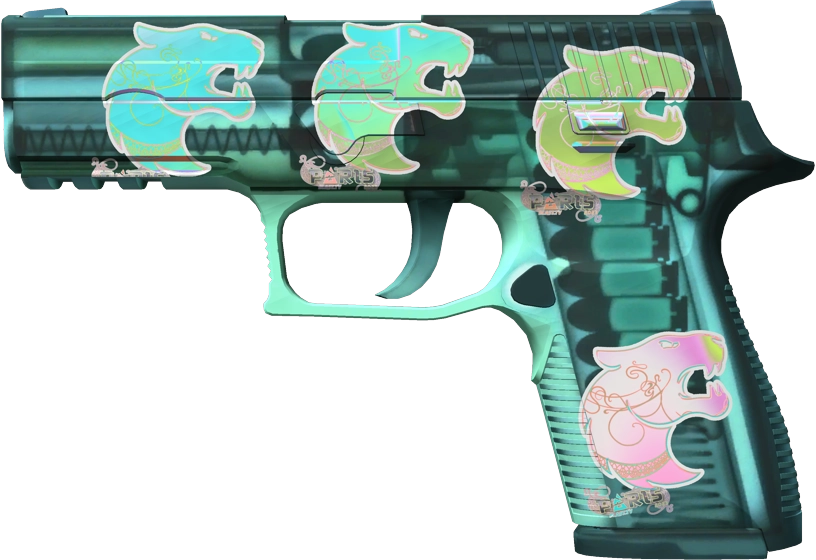 Item P250 | X-Ray