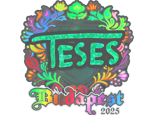 Item Sticker | TeSeS (Holo) | Budapest 2025