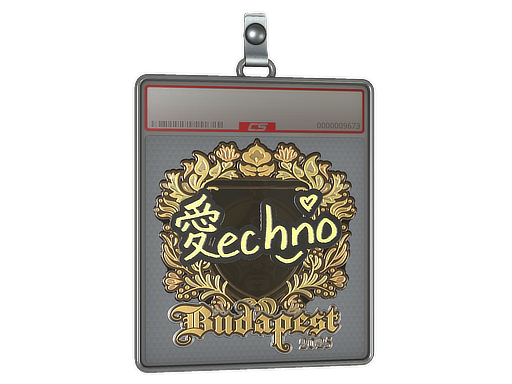 Item Sticker Slab | Techno4K (Gold) | Budapest 2025