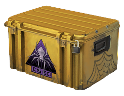 Item Shattered Web Case