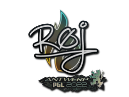 Item Sticker | roeJ | Antwerp 2022