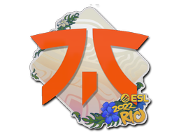 Item Sticker | Fnatic | Rio 2022