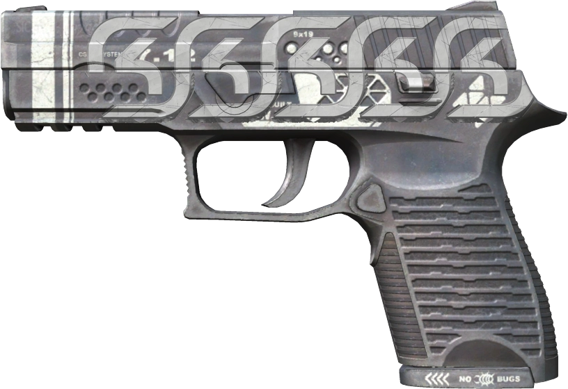 Item P250 | Re.built