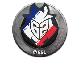Item Sticker | G2 Esports | Katowice 2019