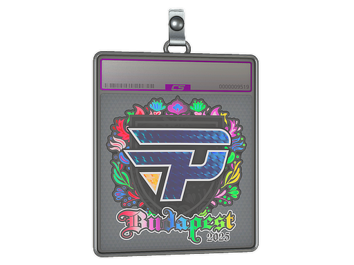 Item Sticker Slab | paiN Gaming (Holo) | Budapest 2025