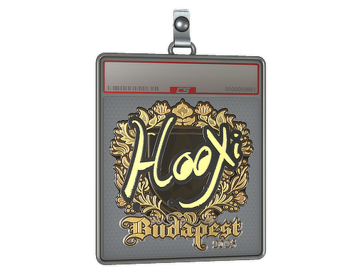 Item Sticker Slab | HooXi (Gold) | Budapest 2025