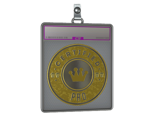 Item Sticker Slab | The Pro (Foil)