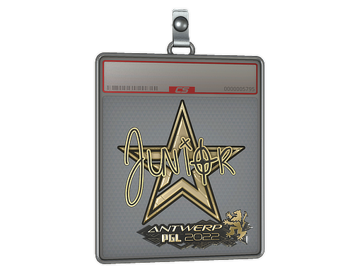 Item Sticker Slab | junior (Gold) | Antwerp 2022