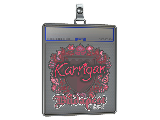 Item Sticker Slab | karrigan | Budapest 2025