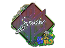 Item Sticker | Staehr (Glitter) | Rio 2022