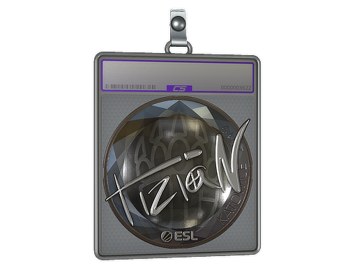 Item Sticker Slab | tiziaN (Foil) | Katowice 2019