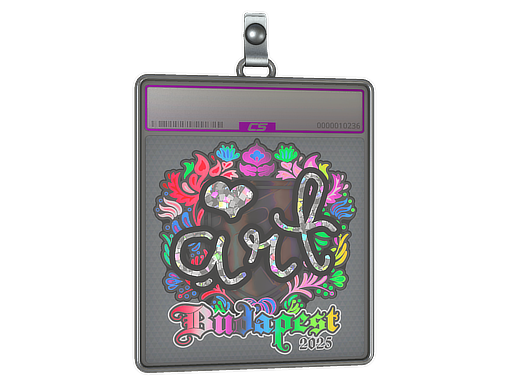 Item Sticker Slab | arT (Holo) | Budapest 2025