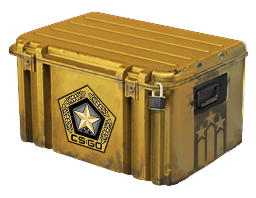 Item Gamma Case