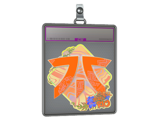 Item Sticker Slab | Fnatic (Holo) | Rio 2022