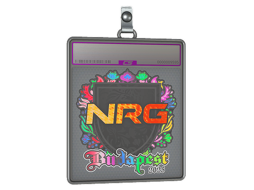 Item Sticker Slab | NRG (Holo) | Budapest 2025