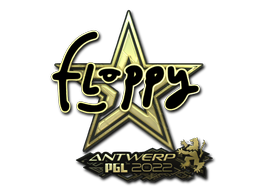Cosmetic Sticker | floppy (Gold) | Antwerp 2022 of Craft