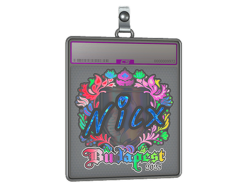 Item Sticker Slab | nicx (Holo) | Budapest 2025