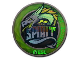 Item Sticker | Team Spirit (Holo) | Katowice 2019