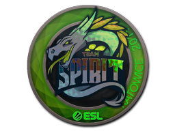 Cosmetic Sticker | Team Spirit (Holo) | Katowice 2019 of Craft