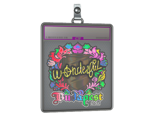Item Sticker Slab | w0nderful (Holo) | Budapest 2025