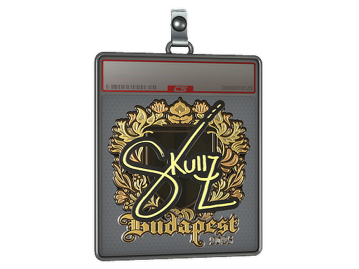 Item Sticker Slab | skullz (Gold) | Budapest 2025