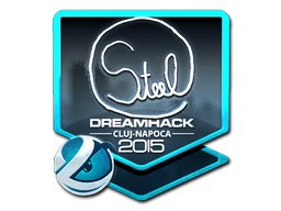 Cosmetic Sticker | steel (Foil) | Cluj-Napoca 2015 of Craft