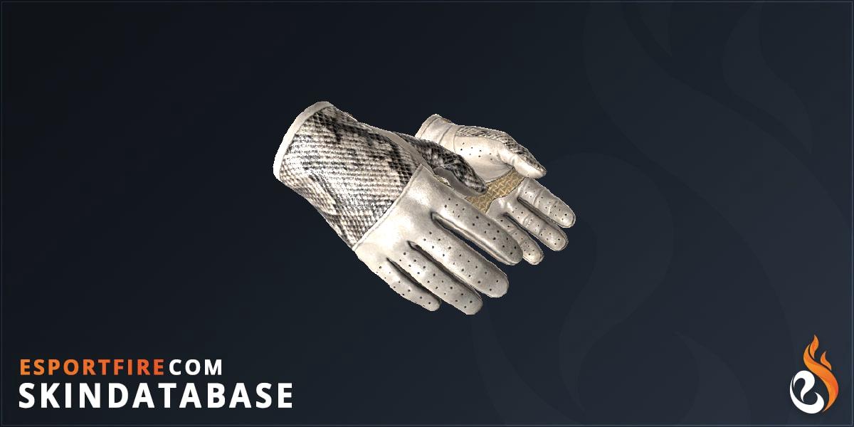 Driver Gloves King Snake