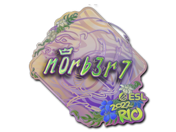 Item Sticker | n0rb3r7 (Holo) | Rio 2022