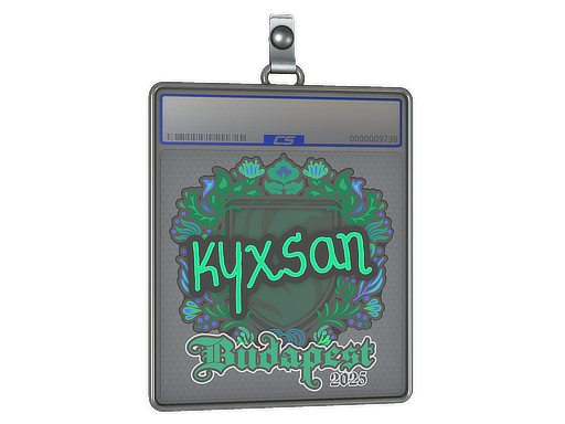 Item Sticker Slab | kyxsan | Budapest 2025