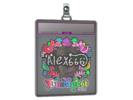 Item Sticker Slab | alex666 (Holo) | Budapest 2025