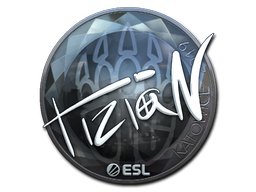 Item Sticker | tiziaN (Foil) | Katowice 2019