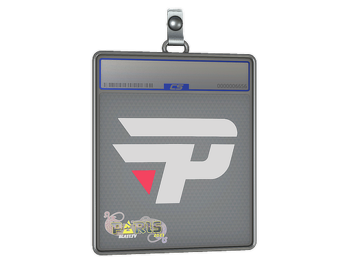 Item Sticker Slab | paiN Gaming | Paris 2023