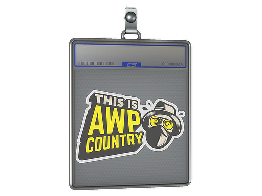 Item Sticker Slab | Awp Country