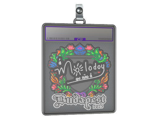 Item Sticker Slab | molodoy (Embroidered) | Budapest 2025