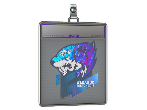 Item Sticker Slab | Flash Gaming (Holo) | Boston 2018